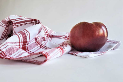 Dish Towel in Red and White