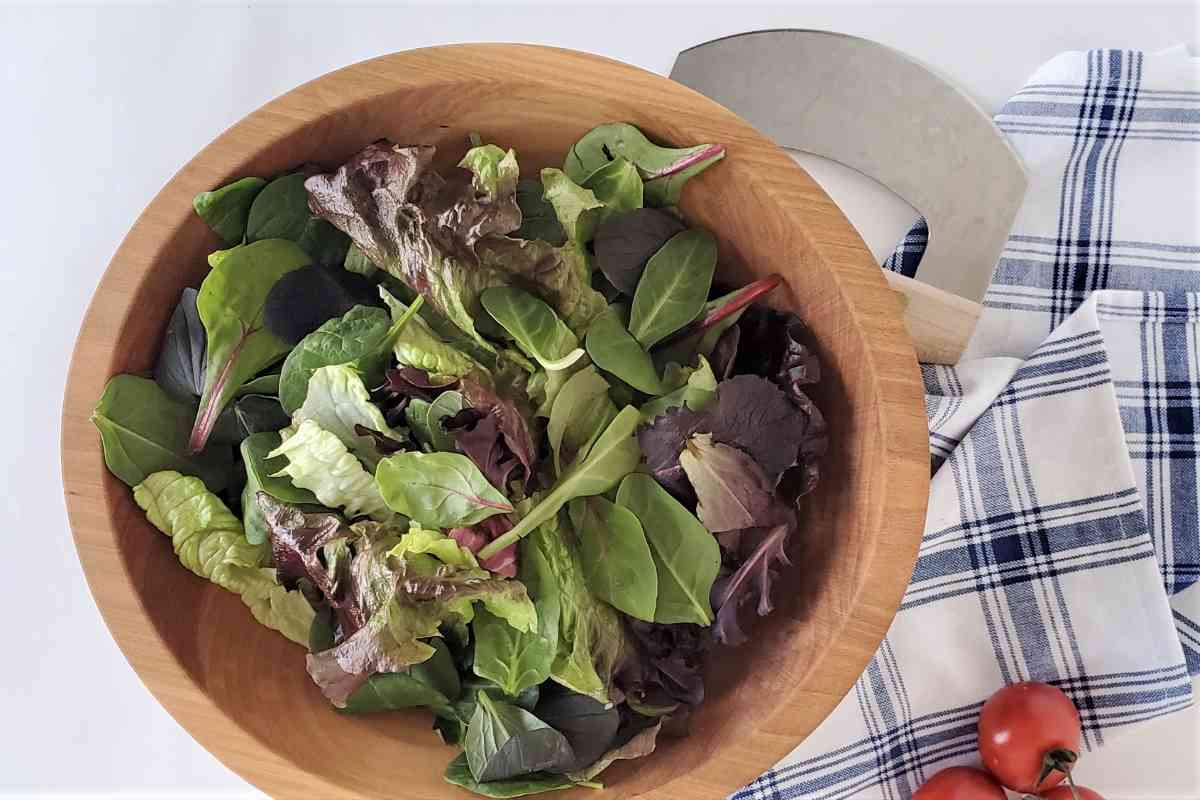 Woodshop  Chop Salad Bowl