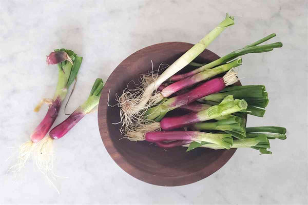 dark wood serving bowl
