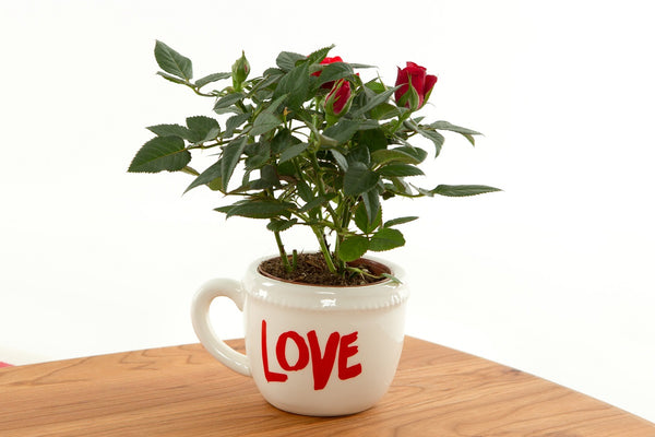 Handmade Wood Serving Tray